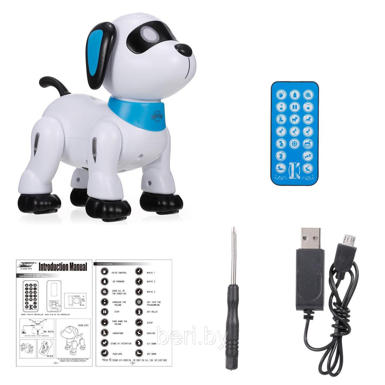 K21 Собака робот на р/у, на пульте управления, интерактивная робот собака - фото 7 - id-p219755664