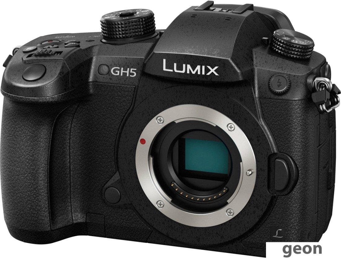 Беззеркальный фотоаппарат Panasonic Lumix DC-GH5 Body - фото 2 - id-p219755628
