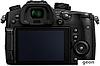 Lumix DC-GH5 Kit 12-60mm f/2.8-4.0, фото 3