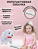 Интерактивная игрушка собачка с косточкой, ходит, лает, виляет хвостом на батарейках, фото 2
