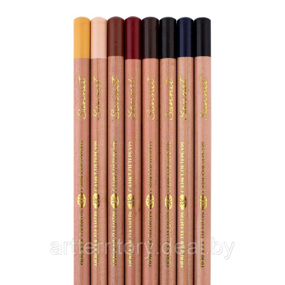 Набор пастельных карандашей Сонет "Портрет", 8 цветов - фото 3 - id-p219785452