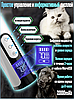 Электрическая когтерезка (гриндер) для собак и кошек SMEHNSER M5 (3 скорости, LED подсветка, индикатор, фото 10