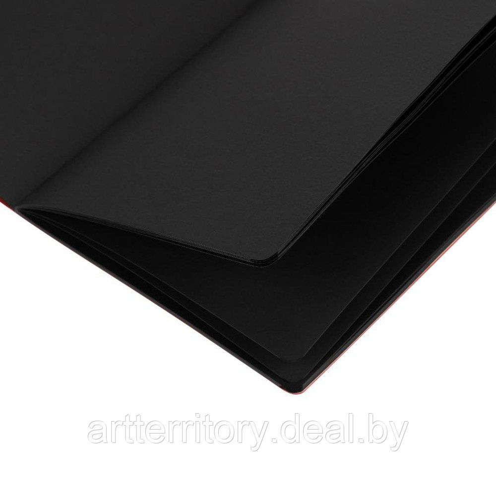 Скетчбук "Сонет" для графики, А5 (чёрный) - фото 2 - id-p219785459