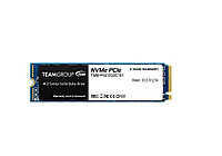 Жесткий диск SSD 256Gb TEAM GROUP TM8FP6256G0C101