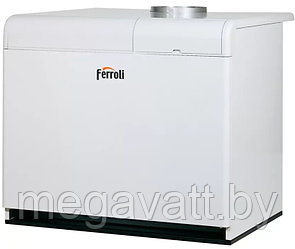 Газовый котел Ferroli PEGASUS 67 2S