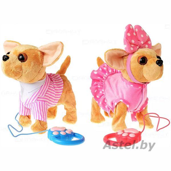 Мягкая игрушечная собачка Чихуахуа на поводке (розовый) - фото 3 - id-p219795666