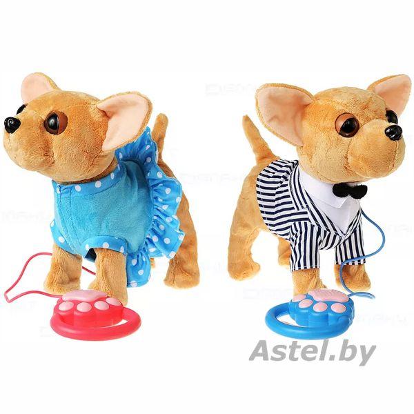 Мягкая игрушечная собачка Чихуахуа на поводке (голубой) - фото 3 - id-p219610514