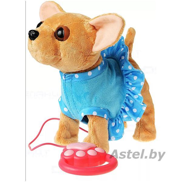 Мягкая игрушечная собачка Чихуахуа на поводке (голубой) - фото 5 - id-p219610514