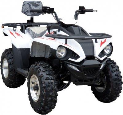 Квадроцикл atv Linhai Z180 - фото 8 - id-p219810130