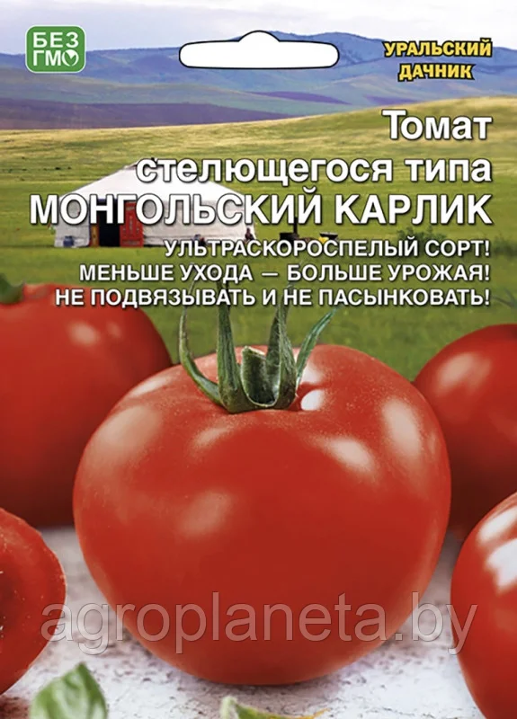 Томат Монгольский карлик 20шт Уральский Дачник