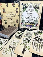 КАРТЫ ТАРО | Antique Anatomy Tarot | Таро античной анатомии