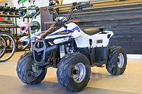 Квадроцикл atv classic Mudhawk 110cc