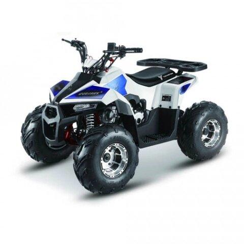 Квадроцикл atv 125 Mudhawk 110cc - фото 10 - id-p219810471