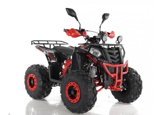 Квадроцикл Wels Thunder EVO pro 125cc - фото 2 - id-p219810542