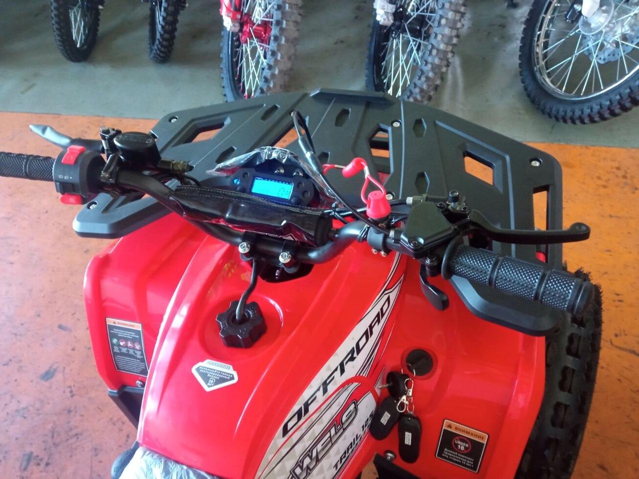 Квадроцикл atv Wels Elite 125cc - фото 3 - id-p219810546