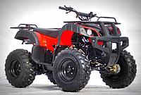 Motax ATV 200сс PRO 2023
