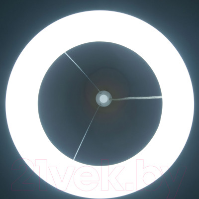Потолочный светильник Citilux Паркер CL225B110 - фото 3 - id-p219850111