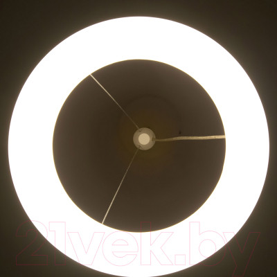 Потолочный светильник Citilux Паркер CL225B110 - фото 5 - id-p219850111