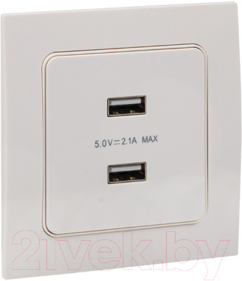 Розетка EKF PROxima Стокгольм EYR16-028-10-2USB - фото 2 - id-p219854285