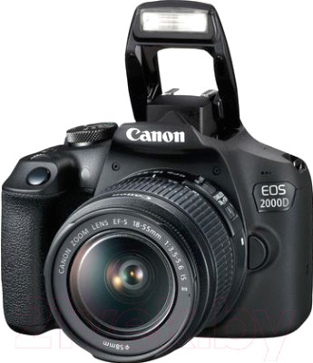 Зеркальный фотоаппарат Canon EOS 2000D Kit EF-S 18-55mm III / 2728C002AA - фото 3 - id-p219856724