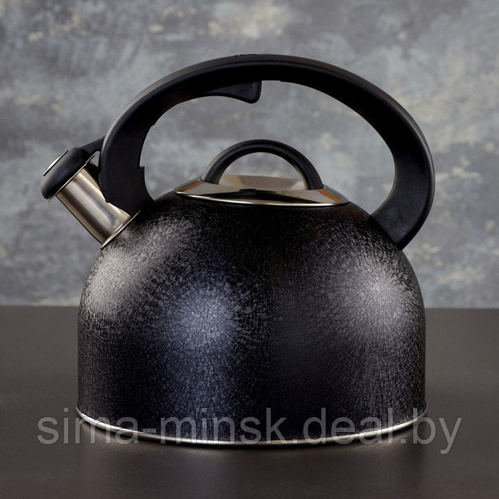 Чайник со свистком из нержавеющей стали Доляна Snow, 3 л, индукция, цвет чёрный - фото 1 - id-p219891762