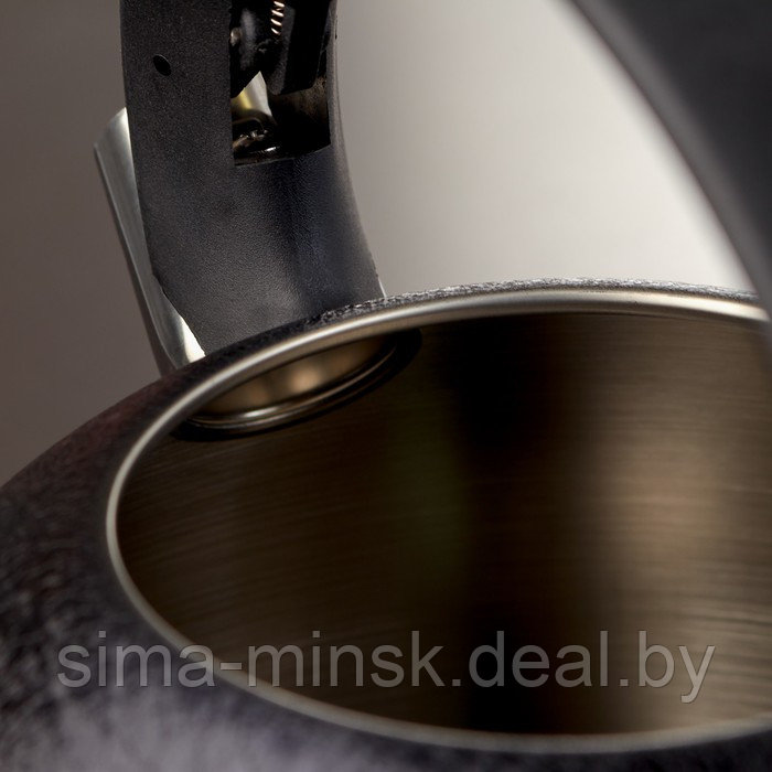 Чайник со свистком из нержавеющей стали Доляна Snow, 3 л, индукция, цвет чёрный - фото 4 - id-p219891762