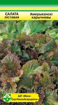 Салат листовой Американский коричневый - фото 1 - id-p31538997
