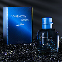 Туалетная вода мужская Domenico&Gusto Deep Blue, 100 мл