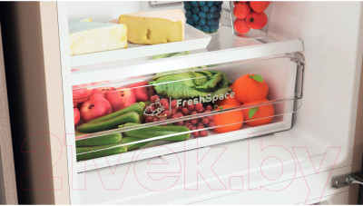 Холодильник с морозильником Indesit ITR 4160 E - фото 8 - id-p219873444