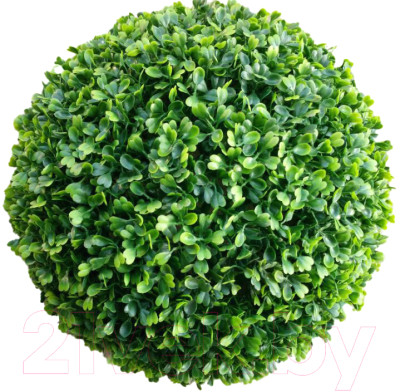 Искусственное растение ForGarden Самшит Green Pearl Grass Ball Dia / FGN BF01027 - фото 1 - id-p219905116