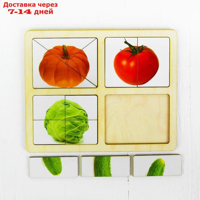 Разрезные картинки "Овощи-1" - фото 2 - id-p219830536