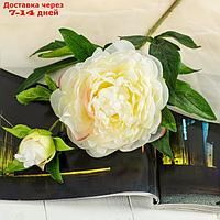 Цветы искусственные "Пион дуо" 12*60 см, белый
