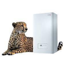 Газовый котел Protherm Gepard (ГЕПАРД) 23 MTV