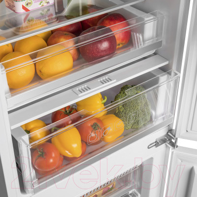 Встраиваемый холодильник Maunfeld MBF177NFFW - фото 9 - id-p219949024