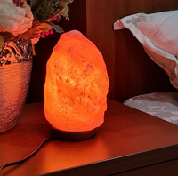 Соляная лампа - ночник из гималайской соли Crystal Salt Lamp / Соляная лампа 2-3 кг. с выключателем