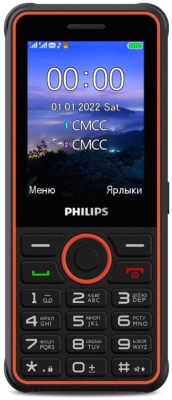 Мобильный телефон Philips Xenium E2301 / CTE2301DG/00 - фото 1 - id-p219981431