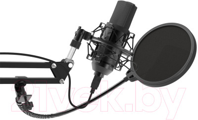 Микрофон Ritmix RDM-169 - фото 3 - id-p219961742