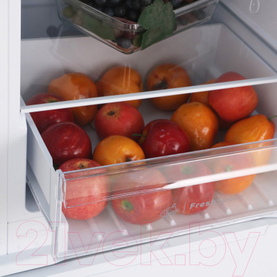 Встраиваемый холодильник Indesit IBH 18 - фото 3 - id-p220013790