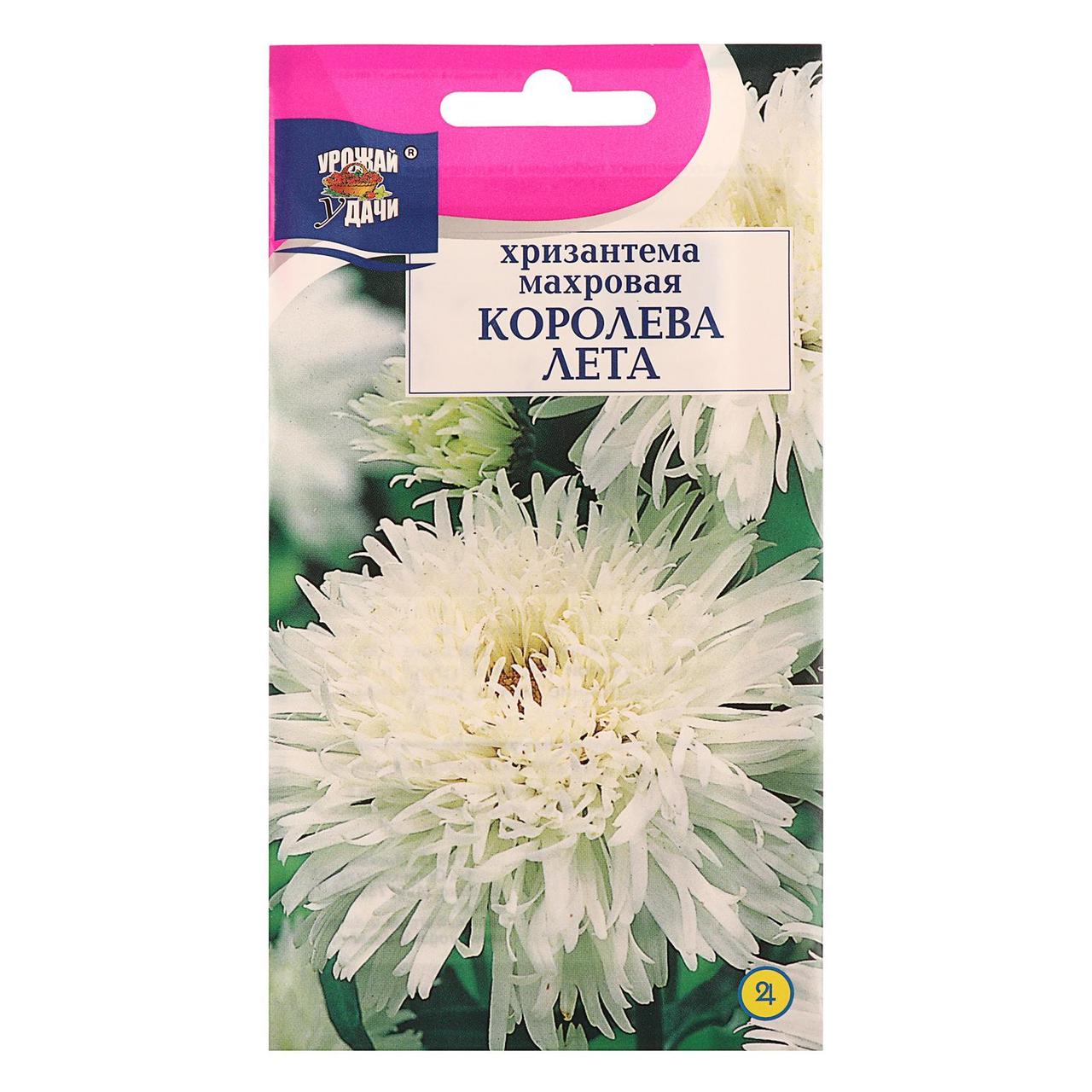 Хризантема Королева Лета 0,03г Урожай Удачи