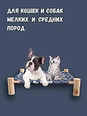 Лежанка для домашних животных / гамак для кошек и собак, фото 3