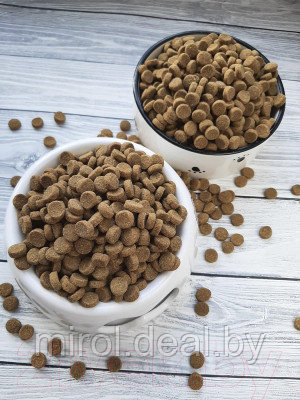 Сухой корм для кошек ProBalance Sterilized - фото 4 - id-p220028593