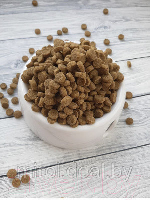 Сухой корм для кошек ProBalance Sterilized - фото 6 - id-p220028593