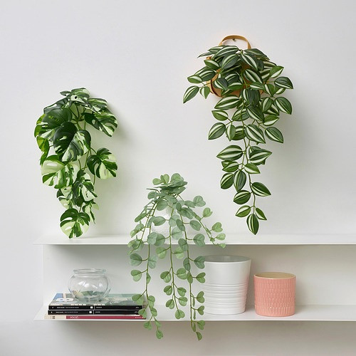IKEA/ ФЕЙКА искусственное растение с настенн держат, для дома, улицы -зеленый, 3шт - фото 2 - id-p220036509