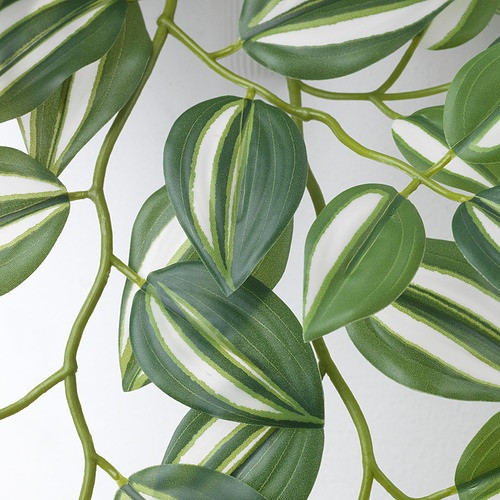 IKEA/ ФЕЙКА искусственное растение с настенн держат, для дома, улицы -зеленый, 3шт - фото 8 - id-p220036509