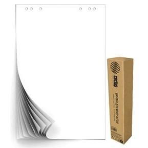 Блок бумаги Cactus CS-PFC20W-5 для флипчартов 67.5х98см 20л белый (упак.:5шт) - фото 1 - id-p212718273