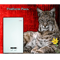 Газовый котел Protherm Lynx HK 24 (РЫСЬ)