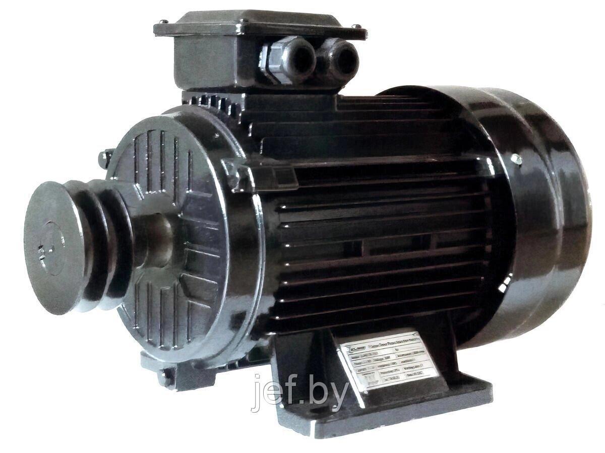Компрессорный двигатель EN-55/3 ELAND EN-55/3 - фото 1 - id-p202256506