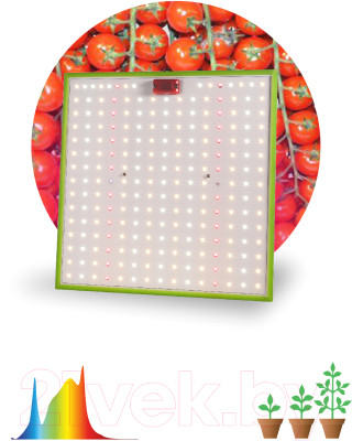 Светильник для растений ЭРА Quantum Board FITO-80W-LED-QB / Б0053285 - фото 9 - id-p220077126