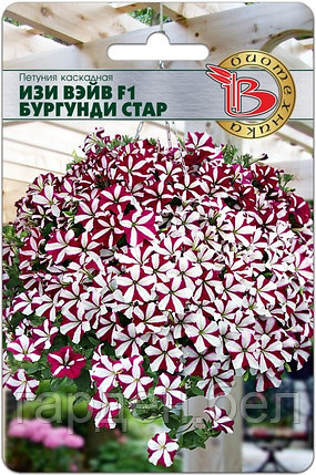 Петуния каскадная ИЗИ ВЭЙВ F1 БУРГУНДИ СТАР 5шт Биотехника, фото 2