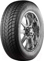 Зимняя шина Zeta Antarctica 5 225/50R17 98H